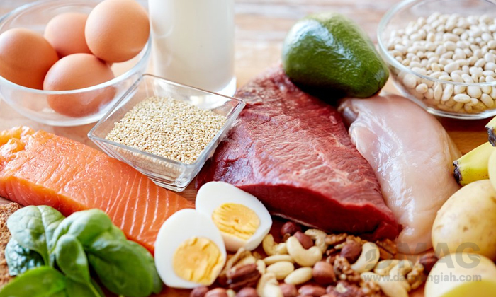 نقش پروتئین ها در رژیم غذایی